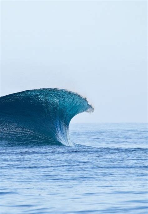 Surfrider Foundation Surfing Waves Waves Ocean Waves