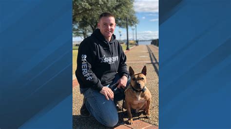 craven county sheriff s office k9 nibbles retires wcti
