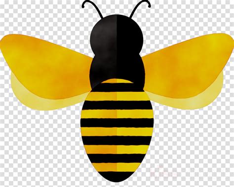 Bee Cartoon Clipart Bee Illustration Design Transparent Clip Art