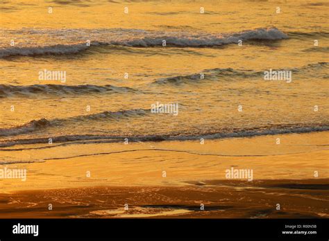 Golden Waves Of The Pacific Ocean During Sunset Stock Photo Alamy