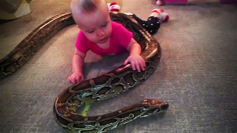 Video Of A Snake Coiled Around A Baby Goes Viral Youtube