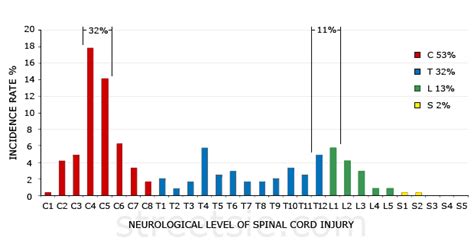 Asia Spinal Cord Injury Exam Pdf Download Free Software Heroesletitbit
