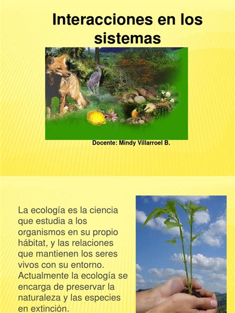 Interacciones En Los Ecosistemasppt Ecosistema Organismos Prueba