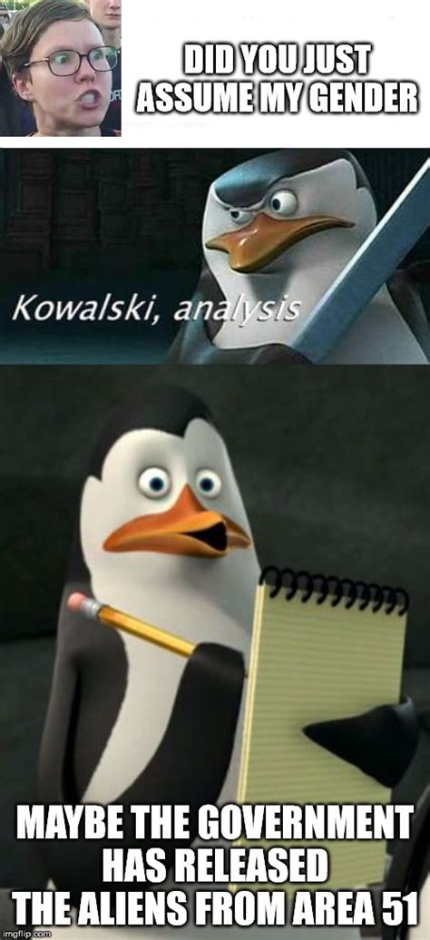 image tagged in kowalski penguins kowalski analysis imgflip