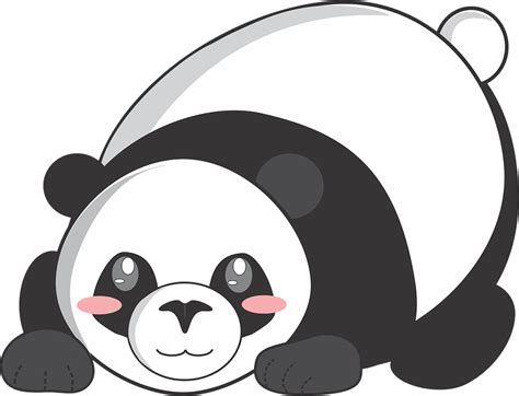 Panda Gambar Kartun Hewan Lucu Adzka