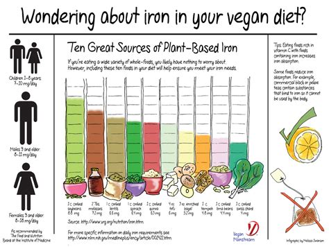 14.8mg a day for women aged 19 to 50; Iron in a Vegan Diet - Vegetarians Photo (37256463) - Fanpop