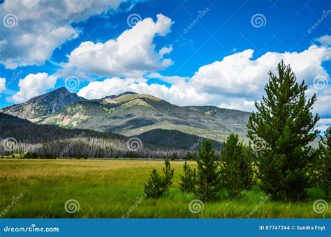 Mountain Meadow Rocky Mountain National Park Colorado Stock Photo