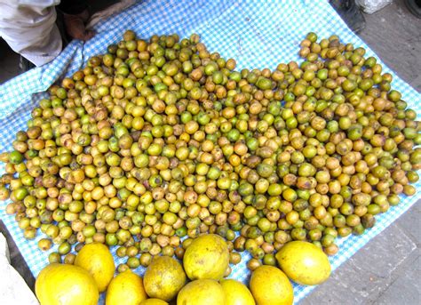 Taste Of Nepal Lapsi Nepalese Hog Plum