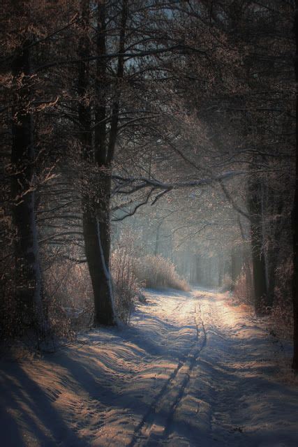 Snowy Country Road At Dusk Content In A Cottage Scenery Beautiful