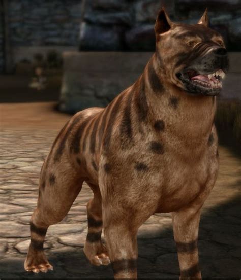 Mabari Warhound Dogs Dragon Age Characters Dragon Age