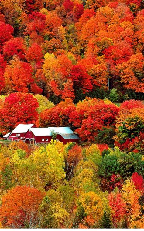 Beautiful Fall Scenery Doğa Manzara Resimler