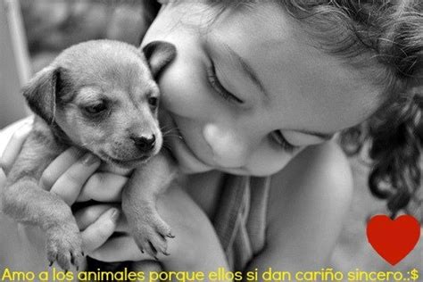 Amo A Los Animales Porque Ellos Si Dan Cariño Sincero Amo A Los