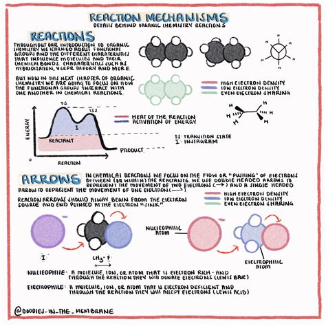 Organic Chemistry Educational Infographics Chemical Reactions In 2020