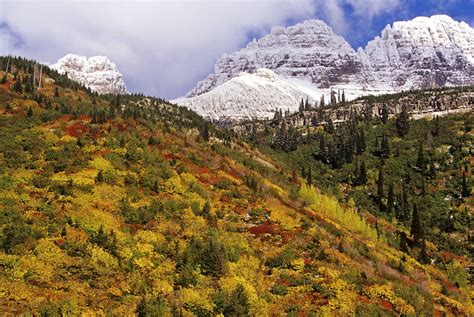 The Best Us National Parks For Fall Foliage