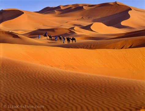 Dunes Great Sahara Lisa Kristine