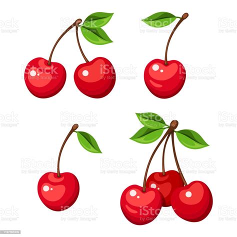 Set Of Four Bunches Of Cherry Berries Vector Illustration Stock Illustration Download Image