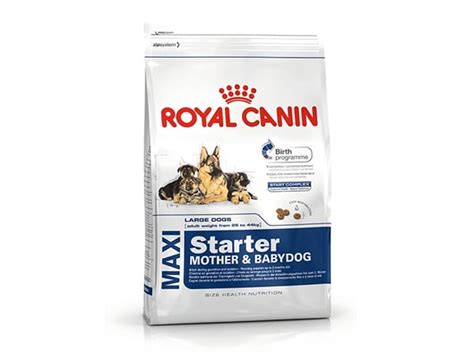 Royal Canin Maxi Starter Mother And Babydog Dog Food