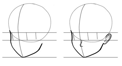 Anime Head Shape Tutorial Right Jaw Guided Drawing Drawing Practice