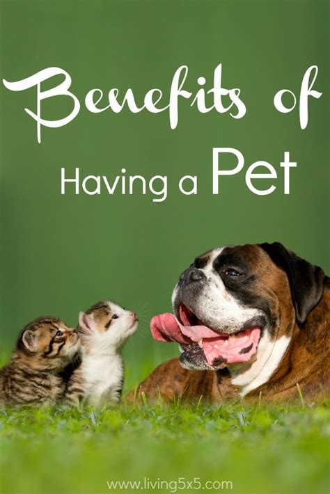 Benefits Of Having A Pet