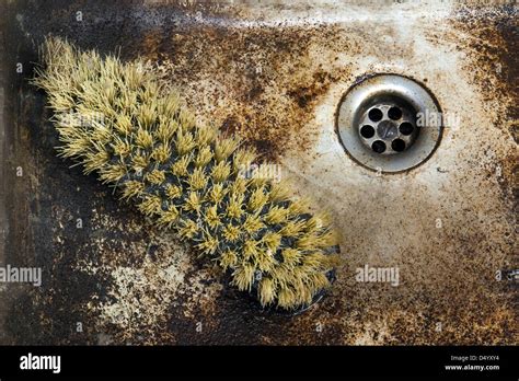 Detail Shot Of A Old Dirty Sink With Scrubber Inside Stock Photo Alamy