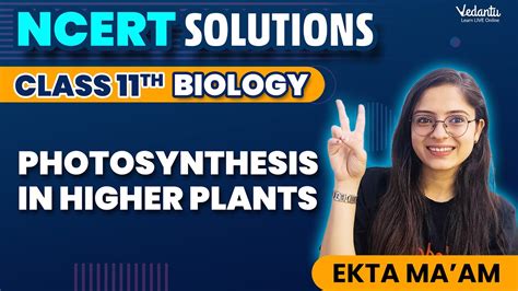 Photosynthesis In Higher Plants Class 11 Biology Chapter 11 Ncert