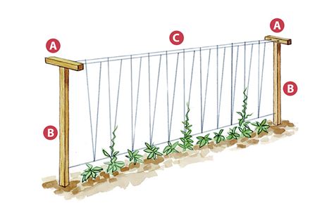 4 Diy Vegetable Garden Trellises Garden Gate