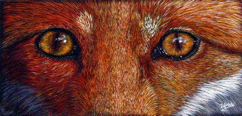 Fox Eyes By Alexandra Lefort