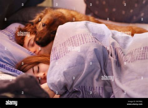 Liebespaar Im Bett Mit Hund Stockfotografie Alamy