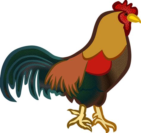 40 Gambar Animasi Ayam Info Baru
