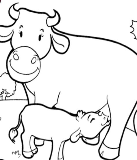 Desenho De Vaca Para Colorir Imagem E Molde E Para Imprimir