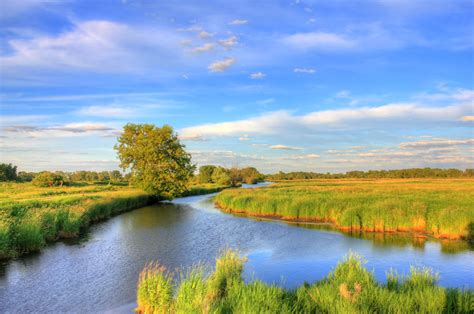Streams Of The Wetlands In Madison Wisconsin Image Free Stock Photo