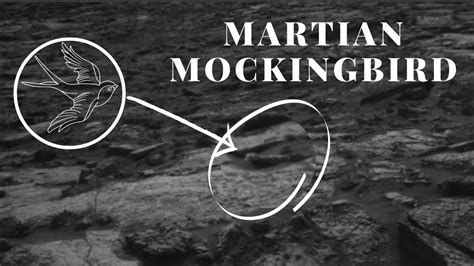 Mars Martian Mockingbird Nasa Mars Planet By Mars Rover Curiosity
