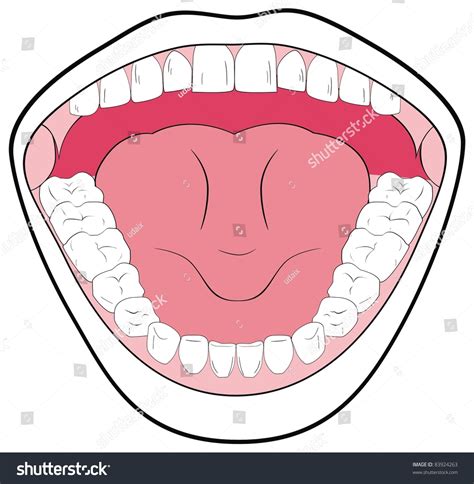 Opened Mouth Showing Teeth Tongue Tonsils Stock Photo 83924263
