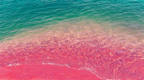 Pink Beach Wallpapers - 4k, HD Pink Beach Backgrounds on WallpaperBat