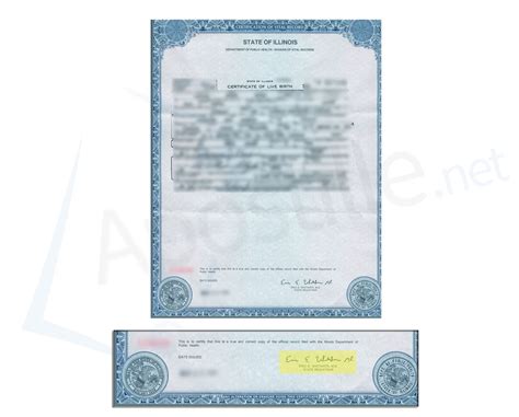 Illinois Birth Certificate Template