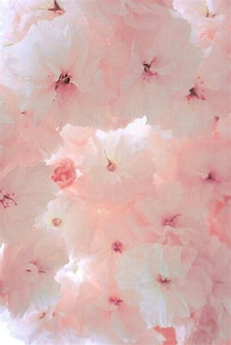Pink is always there for you when you want to elevate your home decor and bring some femininity and color along with it | www.essentialhome.eu/blog. Pin by 北城无夏 on Pink | Pink flowers, Pink aesthetic, Pretty ...