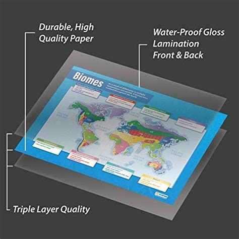 Biomes Geography Posters Laminated Gloss Paper Measuring 850mm X