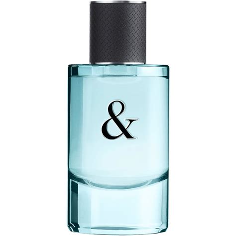 Tiffany And Love For Him Eau De Toilette Spray By Tiffany And Co ️ Buy