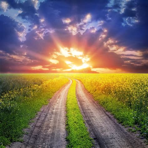 Country Road And Sunset Stock Image Image Of Nature 33837595