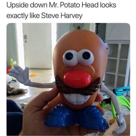 Upside Down Mr Potato Head Looks Exactly Like Steve Harvey Ifunny