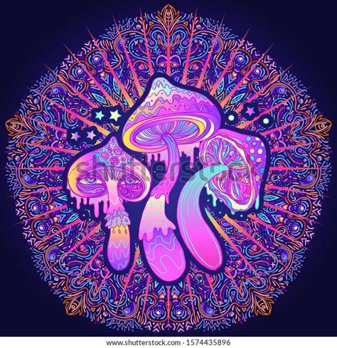 Magic Mushrooms Psychedelic Hallucination Vibrant Vector Stock Vector