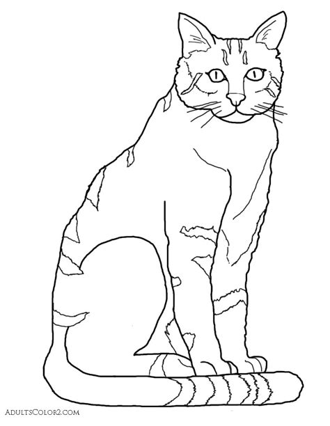 In fact, some boys also like it and take the cat as their consequently, do not torture the cat and take it to care well. Cat Coloring Pages: Pint-Sized Pumas On Parade