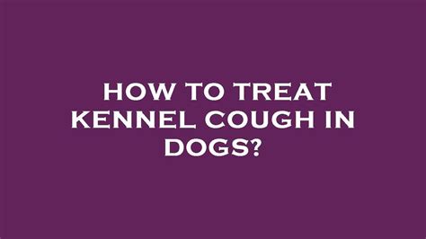 How To Treat Kennel Cough In Dogs Youtube