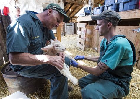 ‘lambulance Chasers Veterinary Team Aids Rangeland Newborns And Ewes