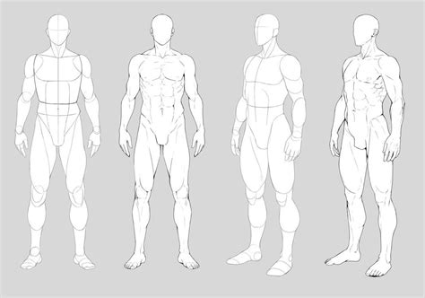 Male Anatomy By Https Precia T Deviantart On DeviantArt Human Figure Drawing Figure