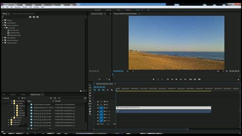 Using adobe premier to capture a screen shot is recommended if you want a crisp shot. Adobe Premiere Pro CC How to remove and change sound - YouTube