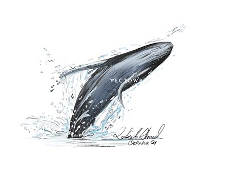Watercolour Humpback Whales On Behance