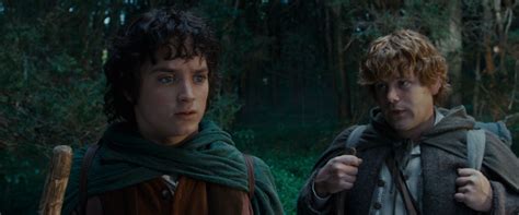 Lotr Fellowship Of The Ring Frodo And Sam Photo 36084225 Fanpop