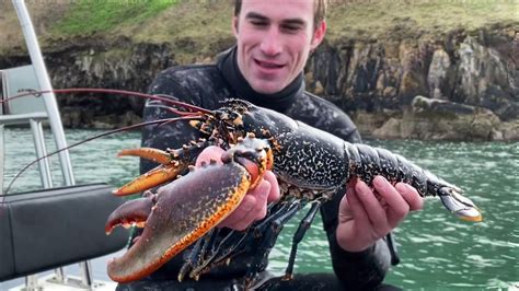 Catching Giant Wild Lobster For Lobster Rolls Maine Style Youtube