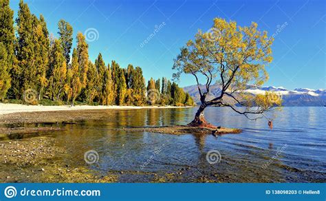 New Zealand National Parks South Island Stock Image Image Of